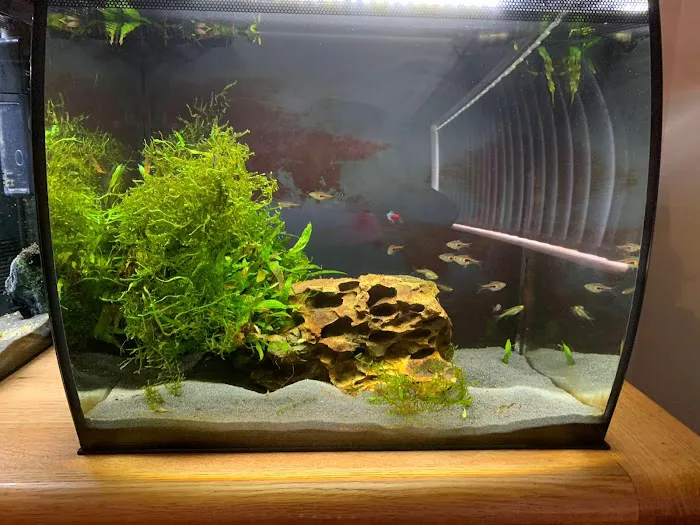 Manta Rea Aquatics Ltd Picture 7