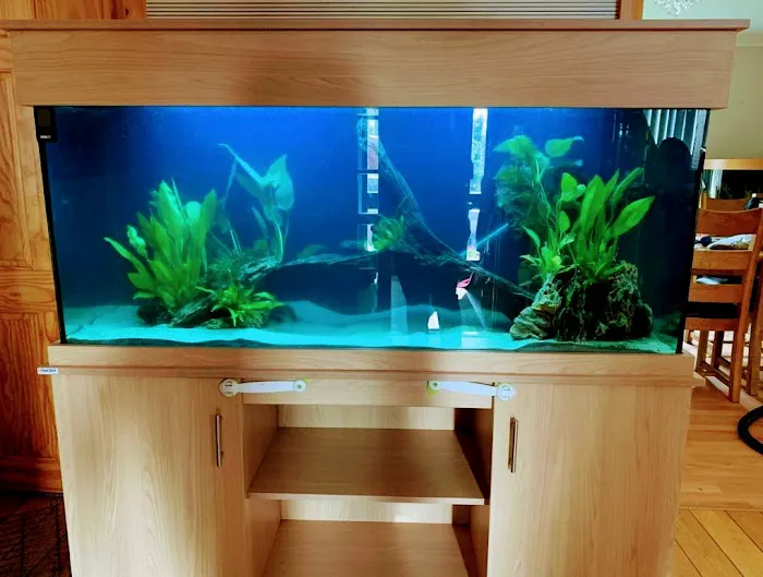 Manta Rea Aquatics Ltd Picture 8