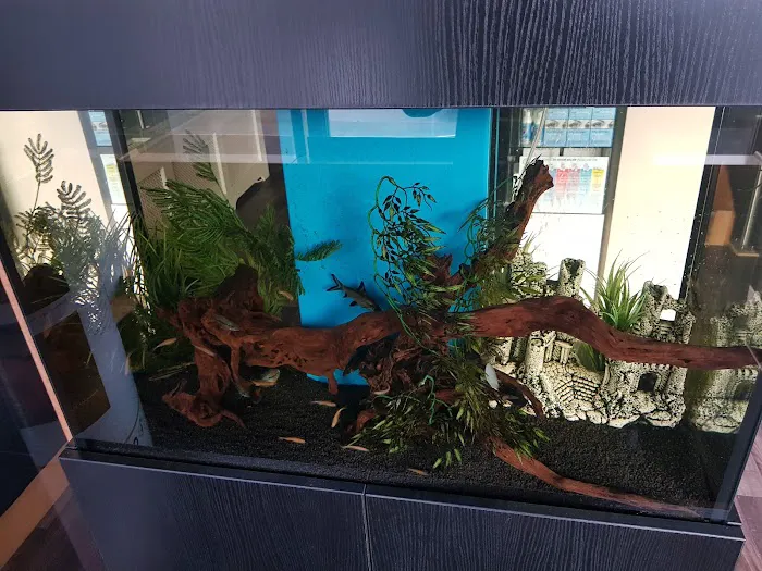 Manta Rea Aquatics Ltd Picture 9