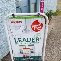 Pets at the Howlin ico