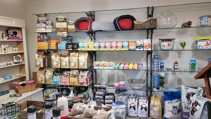 Pets at the Howlin Picture 3