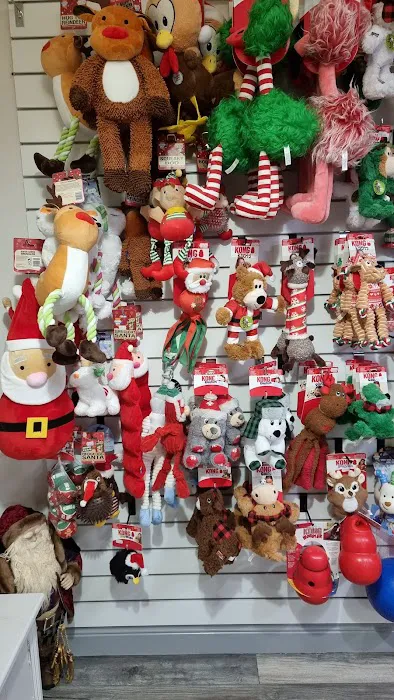 Pets at the Howlin Picture 5