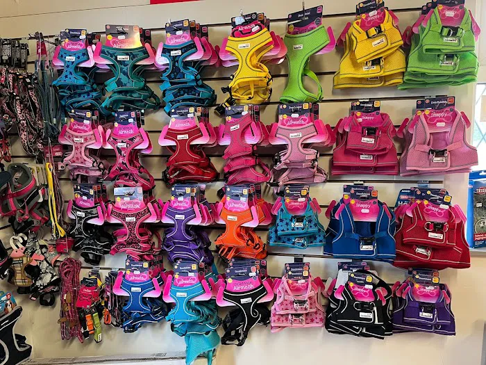 Pets at the Howlin Picture 9