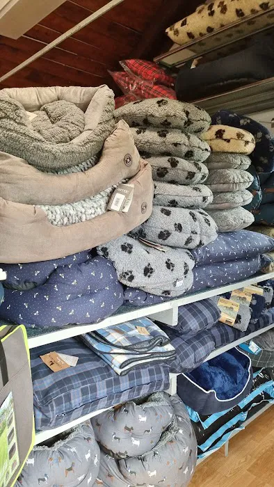 Pets at the Howlin Picture 7