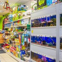 Victoria Pet Centre ico