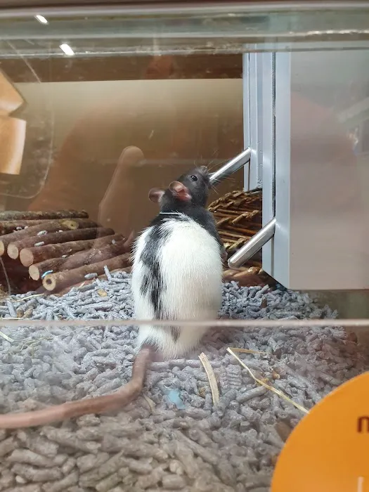 Pets at Home Worksop Picture 5