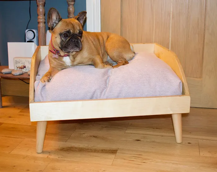 Elle and Rey Quality Dog Beds Picture 3