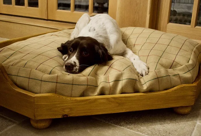 Elle and Rey Quality Dog Beds Picture 4