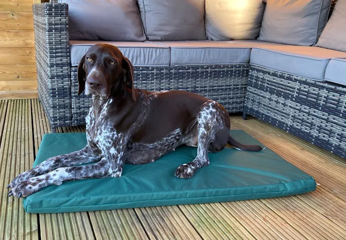 Elle and Rey Quality Dog Beds Picture 5