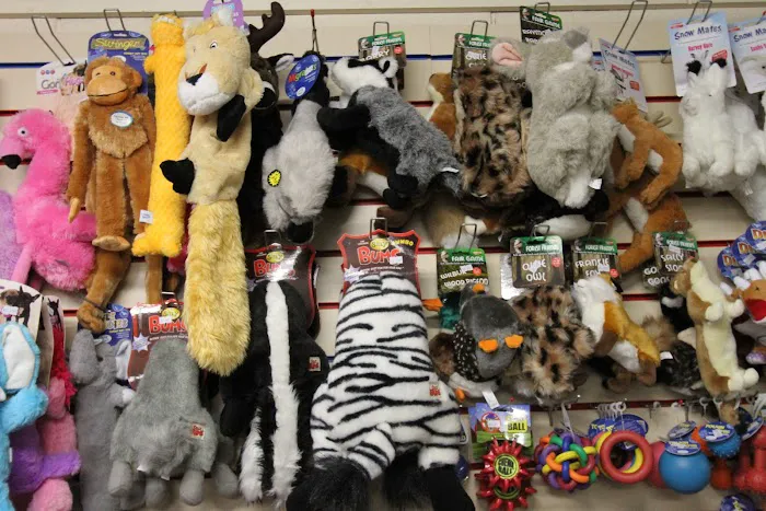 Super Pets Picture 3