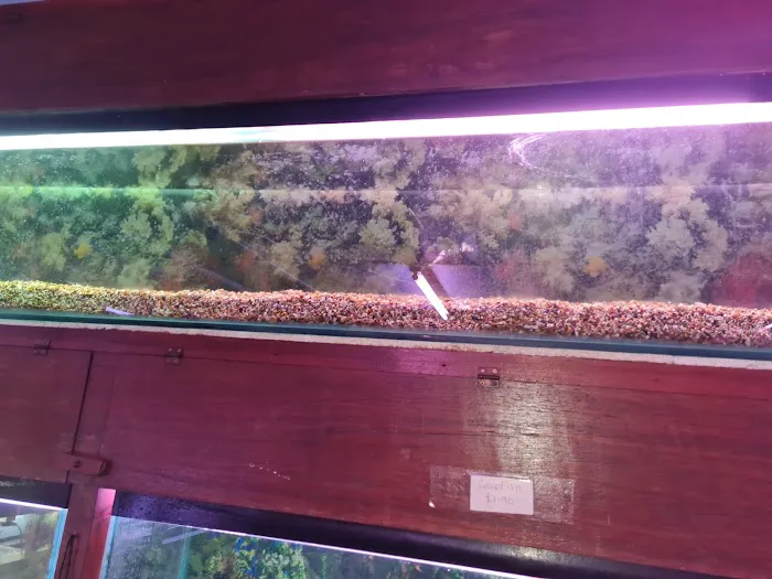 Super Pets Picture 1