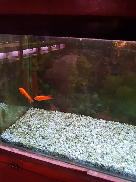 Super Pets Picture 4