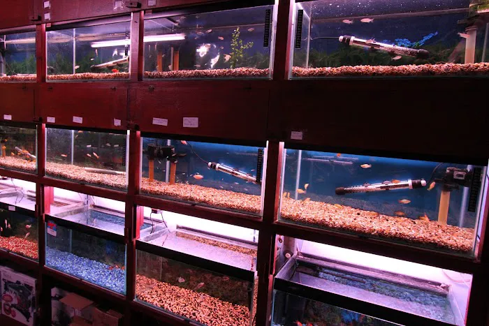 Super Pets Picture 6