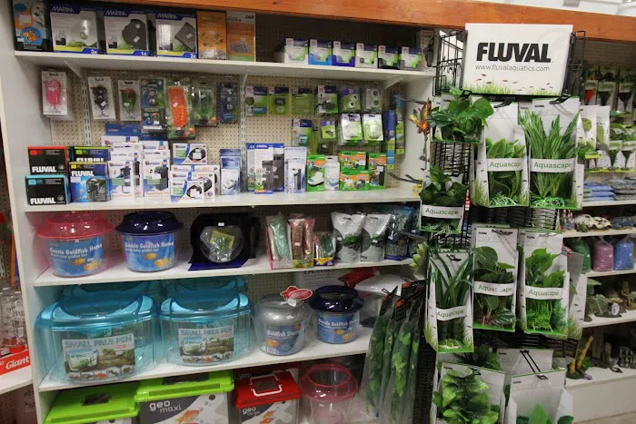 Super Pets Picture 7