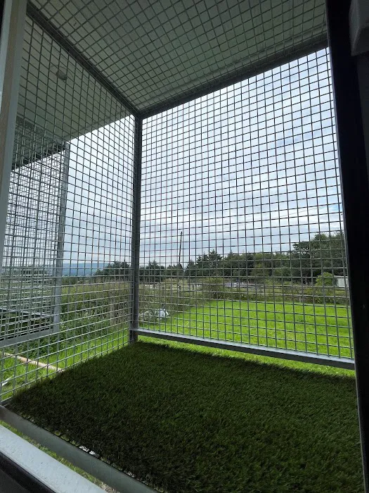 Clearview Cattery Picture 3