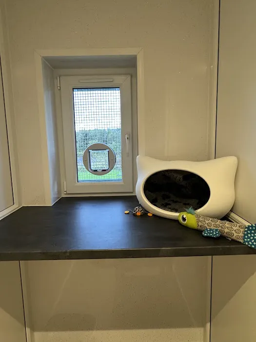 Clearview Cattery Picture 2