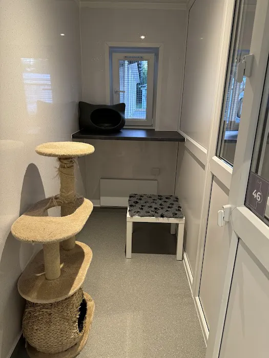 Clearview Cattery Picture 7