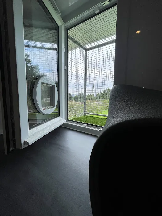 Clearview Cattery Picture 10
