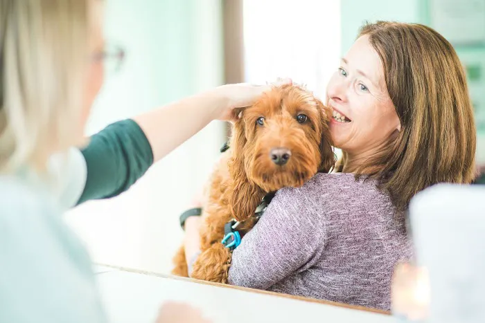 Mearley Veterinary Group Picture 1