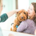 Mearley Veterinary Group