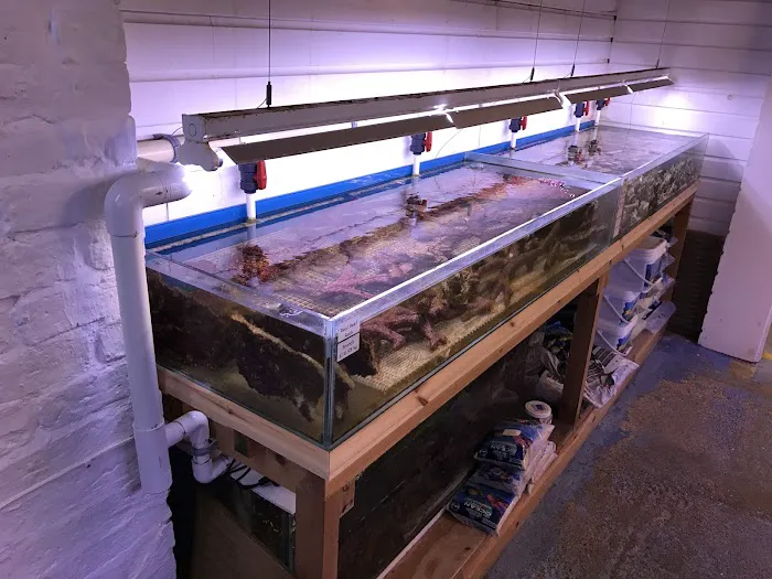 Perry's Aquatic Centre Picture 1