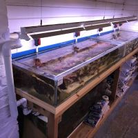 Perry's Aquatic Centre ico