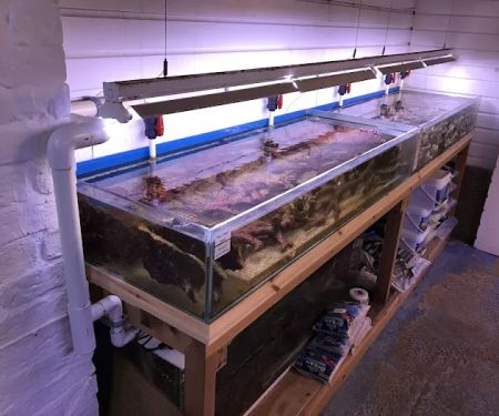 Perry's Aquatic Centre