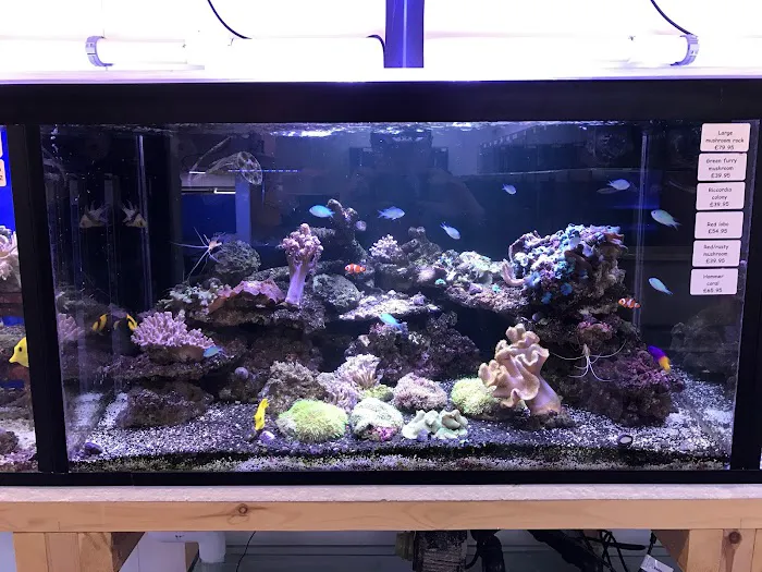 Perry's Aquatic Centre Picture 2