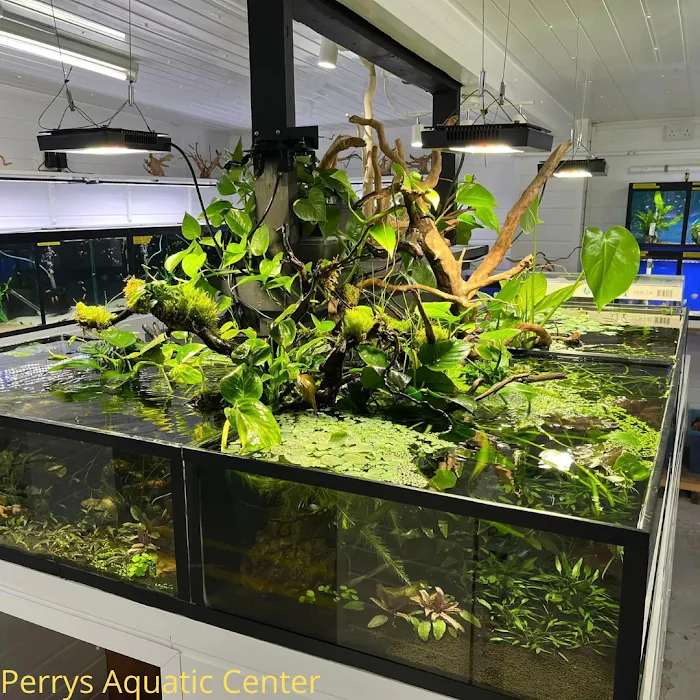 Perry's Aquatic Centre Picture 3