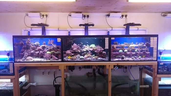 Perry's Aquatic Centre Picture 5