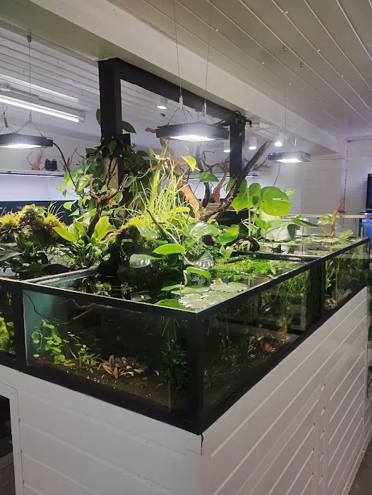 Perry's Aquatic Centre Picture 4