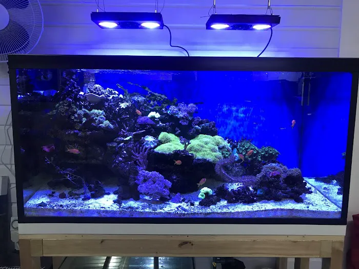 Perry's Aquatic Centre Picture 7