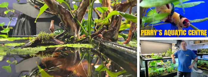 Perry's Aquatic Centre Picture 8