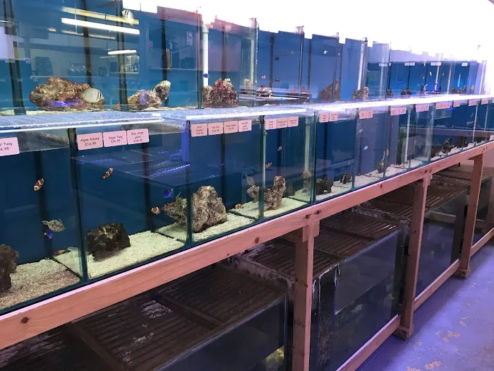 Perry's Aquatic Centre Picture 10