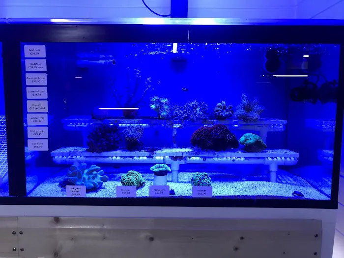 Perry's Aquatic Centre Picture 9