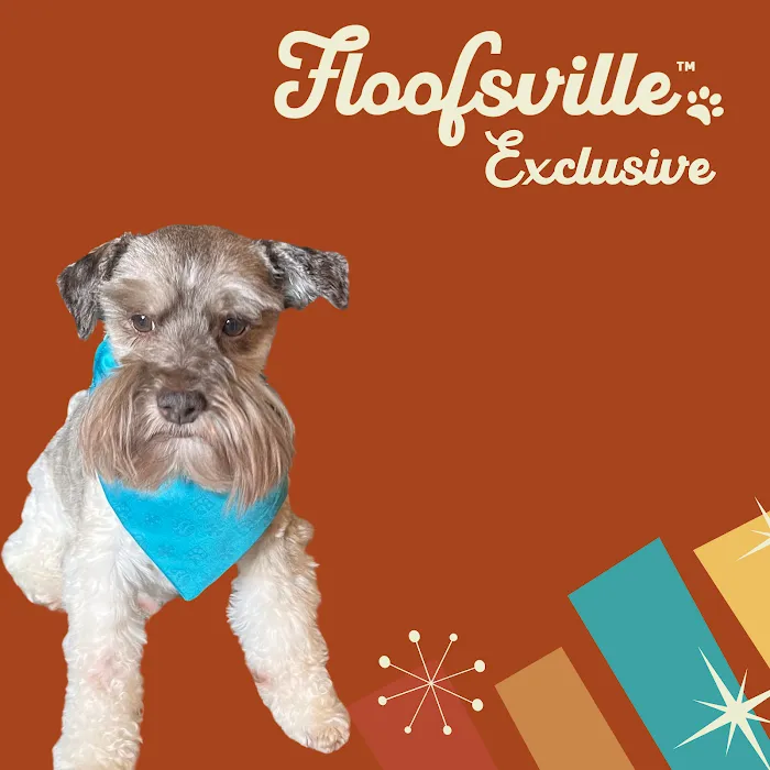 Floofsville Ltd Picture 6