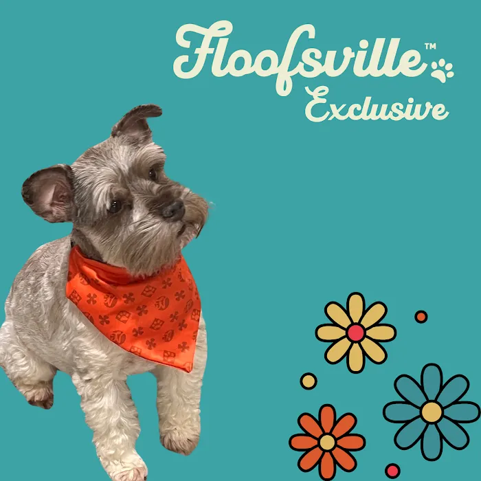 Floofsville Ltd Picture 8
