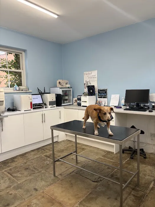 Rose Valley Vets Picture 6