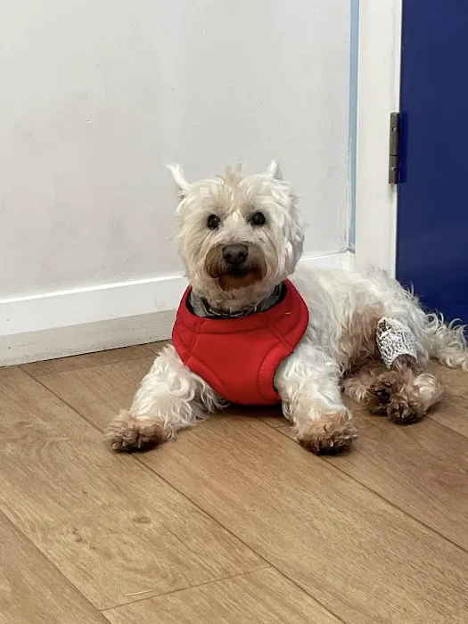 Rose Valley Vets Picture 10