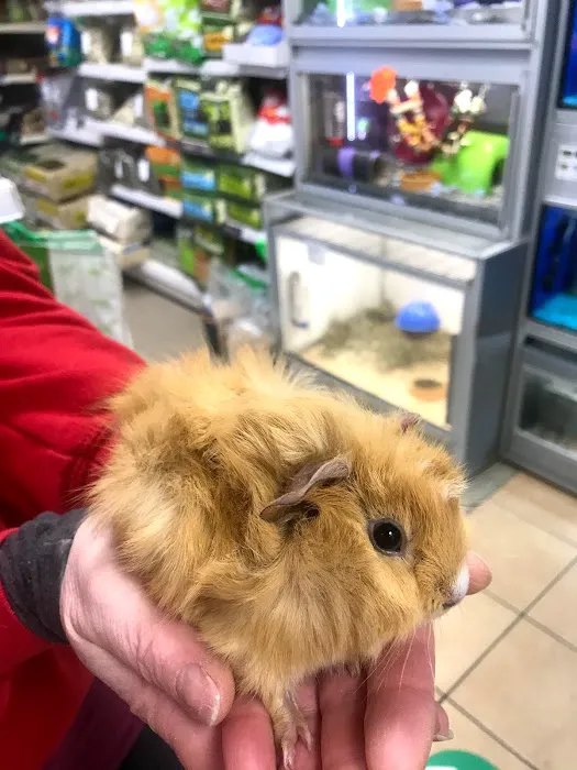 Rovers Return Petshop Ltd Picture 1