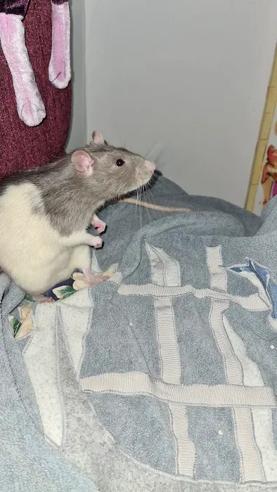 Rovers Return Petshop Ltd Picture 2