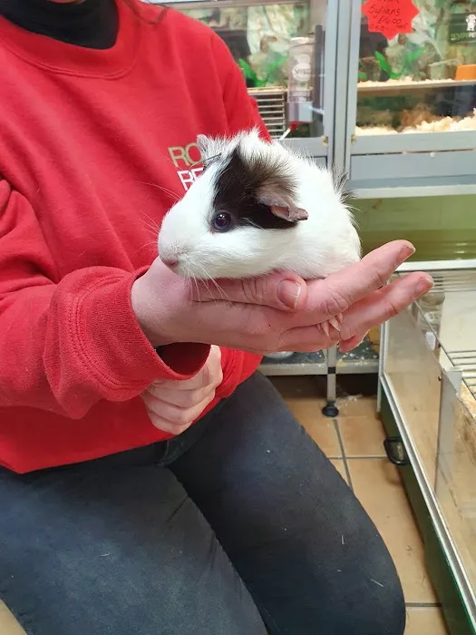 Rovers Return Petshop Ltd Picture 4