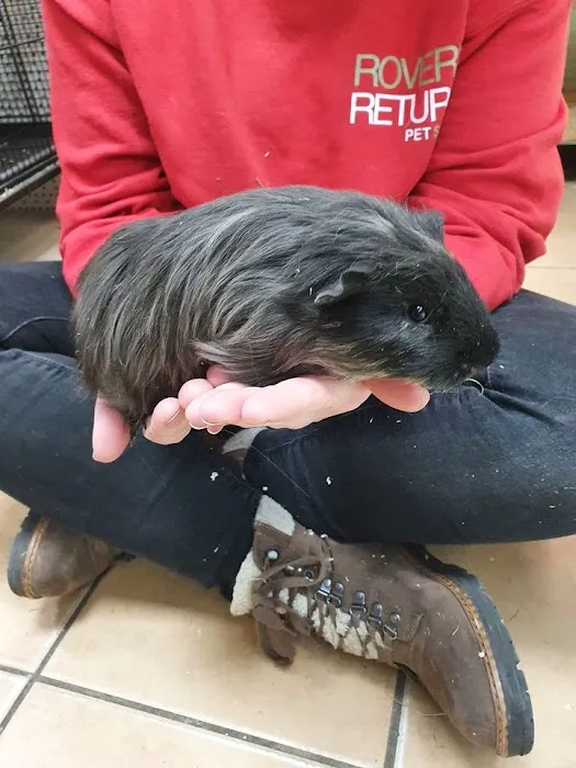 Rovers Return Petshop Ltd Picture 8