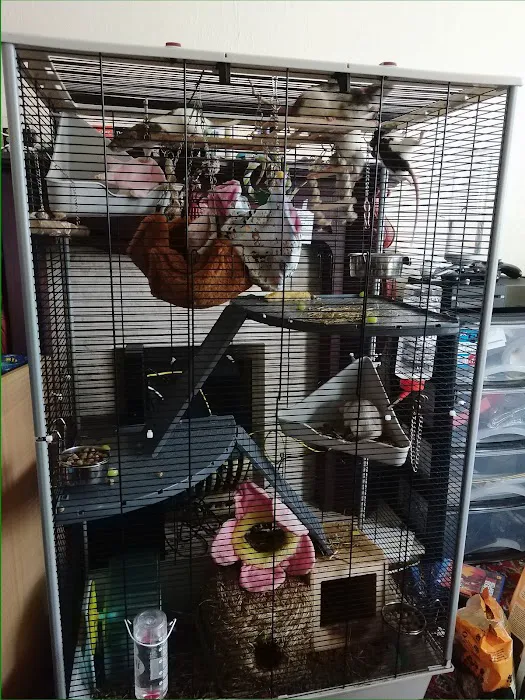 Rovers Return Petshop Ltd Picture 9