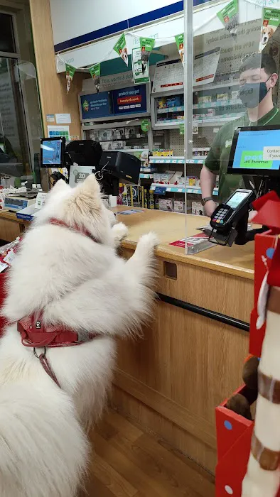 Pets at Home Lincoln North Picture 3