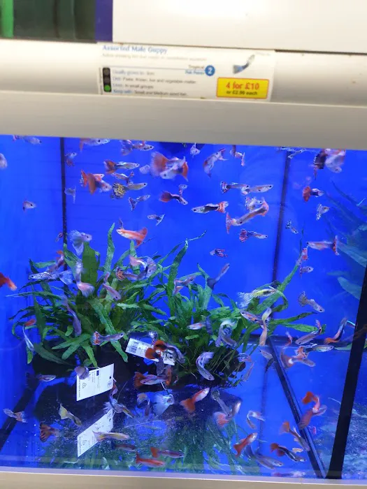 Pets at Home Lincoln North Picture 6