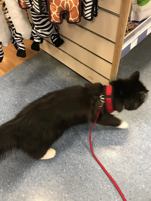 Pets at Home Lincoln North Picture 5