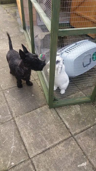 Pets at Home Lincoln North Picture 8