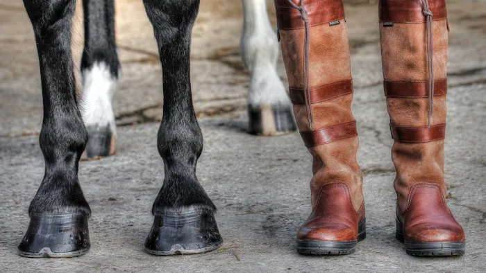 North West Equine Vets Ltd. Picture 1