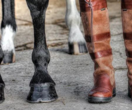 North West Equine Vets Ltd.